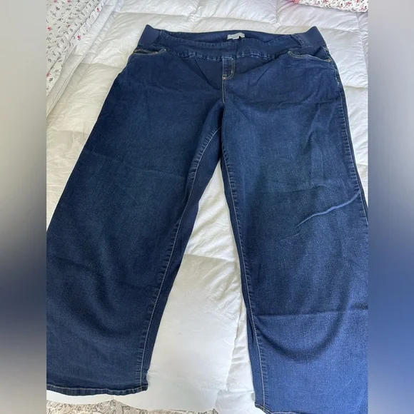 Woman Within plus size 24W jeans dark indigo straight leg. - Picture 1 of 9